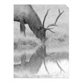 Picture of Elk in the Wild _GroupedProduct_Rectangle_Portrait_Photography _GroupedProduct_Rectangle_Portrait_Unframed_Print_Only_