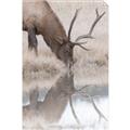 Picture of Elk in the Wild _GroupedProduct_Rectangle_Portrait_Photography _GroupedProduct_Rectangle_Portrait_Unframed_Print_Only_
