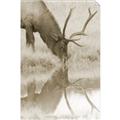 Picture of Elk in the Wild _GroupedProduct_Rectangle_Portrait_Photography _GroupedProduct_Rectangle_Portrait_Unframed_Print_Only_