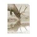 Picture of Elk in the Wild _GroupedProduct_Rectangle_Portrait_Photography _GroupedProduct_Rectangle_Portrait_Unframed_Print_Only_