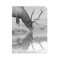 Picture of Elk in the Wild _GroupedProduct_Rectangle_Portrait_Photography _GroupedProduct_Rectangle_Portrait_Unframed_Print_Only_