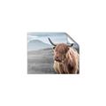 Picture of Furry highland cow _GroupedProduct_Rectangle_Landscape_Photography _GroupedProduct_Rectangle_Landscape_Unframed_Print_Only_