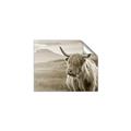 Picture of Furry highland cow _GroupedProduct_Rectangle_Landscape_Photography _GroupedProduct_Rectangle_Landscape_Unframed_Print_Only_