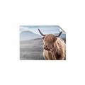 Picture of Furry highland cow _GroupedProduct_Rectangle_Landscape_Photography _GroupedProduct_Rectangle_Landscape_Unframed_Print_Only_