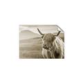 Picture of Furry highland cow _GroupedProduct_Rectangle_Landscape_Photography _GroupedProduct_Rectangle_Landscape_Unframed_Print_Only_
