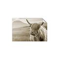 Picture of Furry highland cow _GroupedProduct_Rectangle_Landscape_Photography _GroupedProduct_Rectangle_Landscape_Unframed_Print_Only_