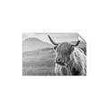 Picture of Furry highland cow _GroupedProduct_Rectangle_Landscape_Photography _GroupedProduct_Rectangle_Landscape_Unframed_Print_Only_