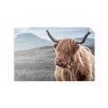 Picture of Furry highland cow _GroupedProduct_Rectangle_Landscape_Photography _GroupedProduct_Rectangle_Landscape_Unframed_Print_Only_