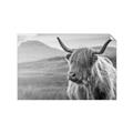 Picture of Furry highland cow _GroupedProduct_Rectangle_Landscape_Photography _GroupedProduct_Rectangle_Landscape_Unframed_Print_Only_