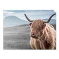 Picture of Furry highland cow _GroupedProduct_Rectangle_Landscape_Photography _GroupedProduct_Rectangle_Landscape_Unframed_Print_Only_