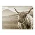 Picture of Furry highland cow _GroupedProduct_Rectangle_Landscape_Photography _GroupedProduct_Rectangle_Landscape_Unframed_Print_Only_
