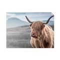 Picture of Furry highland cow _GroupedProduct_Rectangle_Landscape_Photography _GroupedProduct_Rectangle_Landscape_Unframed_Print_Only_