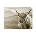 Picture of Furry highland cow _GroupedProduct_Rectangle_Landscape_Photography _GroupedProduct_Rectangle_Landscape_Unframed_Print_Only_