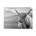 Picture of Furry highland cow _GroupedProduct_Rectangle_Landscape_Photography _GroupedProduct_Rectangle_Landscape_Unframed_Print_Only_