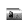 Picture of The Lion King _GroupedProduct_Rectangle_Landscape_Photography _GroupedProduct_Rectangle_Landscape_Unframed_Print_Only_