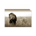 Picture of The Lion King _GroupedProduct_Rectangle_Landscape_Photography _GroupedProduct_Rectangle_Landscape_Unframed_Print_Only_