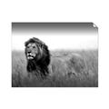 Picture of The Lion King _GroupedProduct_Rectangle_Landscape_Photography _GroupedProduct_Rectangle_Landscape_Unframed_Print_Only_