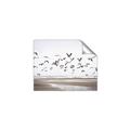 Picture of Seagulls flying on a rainy day _GroupedProduct_Rectangle_Landscape_Photography _GroupedProduct_Rectangle_Landscape_Unframed_Print_Only_