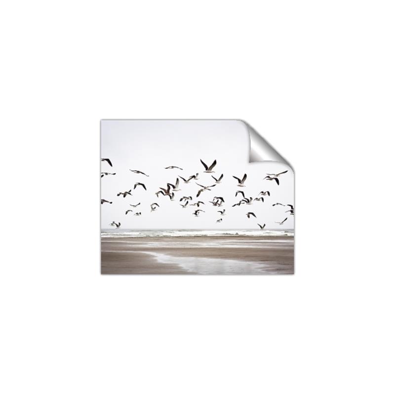 Picture of Seagulls flying on a rainy day _GroupedProduct_Rectangle_Landscape_Photography _GroupedProduct_Rectangle_Landscape_Unframed_Print_Only_