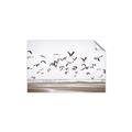 Picture of Seagulls flying on a rainy day _GroupedProduct_Rectangle_Landscape_Photography _GroupedProduct_Rectangle_Landscape_Unframed_Print_Only_
