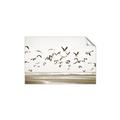 Picture of Seagulls flying on a rainy day _GroupedProduct_Rectangle_Landscape_Photography _GroupedProduct_Rectangle_Landscape_Unframed_Print_Only_