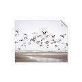 Picture of Seagulls flying on a rainy day _GroupedProduct_Rectangle_Landscape_Photography _GroupedProduct_Rectangle_Landscape_Unframed_Print_Only_
