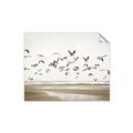 Picture of Seagulls flying on a rainy day _GroupedProduct_Rectangle_Landscape_Photography _GroupedProduct_Rectangle_Landscape_Unframed_Print_Only_
