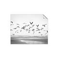 Picture of Seagulls flying on a rainy day _GroupedProduct_Rectangle_Landscape_Photography _GroupedProduct_Rectangle_Landscape_Unframed_Print_Only_