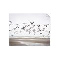 Picture of Seagulls flying on a rainy day _GroupedProduct_Rectangle_Landscape_Photography _GroupedProduct_Rectangle_Landscape_Unframed_Print_Only_