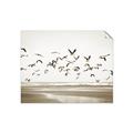 Picture of Seagulls flying on a rainy day _GroupedProduct_Rectangle_Landscape_Photography _GroupedProduct_Rectangle_Landscape_Unframed_Print_Only_