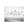 Picture of Seagulls flying on a rainy day _GroupedProduct_Rectangle_Landscape_Photography _GroupedProduct_Rectangle_Landscape_Unframed_Print_Only_