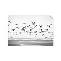 Picture of Seagulls flying on a rainy day _GroupedProduct_Rectangle_Landscape_Photography _GroupedProduct_Rectangle_Landscape_Unframed_Print_Only_
