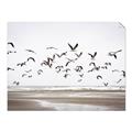 Picture of Seagulls flying on a rainy day _GroupedProduct_Rectangle_Landscape_Photography _GroupedProduct_Rectangle_Landscape_Unframed_Print_Only_