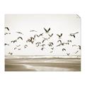 Picture of Seagulls flying on a rainy day _GroupedProduct_Rectangle_Landscape_Photography _GroupedProduct_Rectangle_Landscape_Unframed_Print_Only_