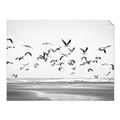 Picture of Seagulls flying on a rainy day _GroupedProduct_Rectangle_Landscape_Photography _GroupedProduct_Rectangle_Landscape_Unframed_Print_Only_