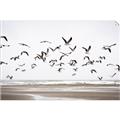 Picture of Seagulls flying on a rainy day _GroupedProduct_Rectangle_Landscape_Photography _GroupedProduct_Rectangle_Landscape_Unframed_Print_Only_