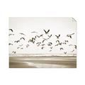 Picture of Seagulls flying on a rainy day _GroupedProduct_Rectangle_Landscape_Photography _GroupedProduct_Rectangle_Landscape_Unframed_Print_Only_