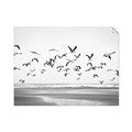 Picture of Seagulls flying on a rainy day _GroupedProduct_Rectangle_Landscape_Photography _GroupedProduct_Rectangle_Landscape_Unframed_Print_Only_