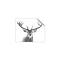 Picture of Deer Antler _GroupedProduct_Rectangle_Landscape_Photography _GroupedProduct_Rectangle_Landscape_Unframed_Print_Only_