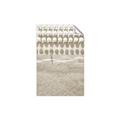 Picture of Amazing beach with Umbrellas   _GroupedProduct_Rectangle_Portrait_Photography _GroupedProduct_Rectangle_Portrait_Unframed_Print_Only_