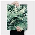Picture of Green Ferns _GroupedProduct_Rectangle_Portrait_Photography _GroupedProduct_Rectangle_Portrait_Canvas_