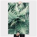 Picture of Green Ferns _GroupedProduct_Rectangle_Portrait_Photography _GroupedProduct_Rectangle_Portrait_Canvas_