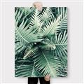 Picture of Green Ferns _GroupedProduct_Rectangle_Portrait_Photography _GroupedProduct_Rectangle_Portrait_Canvas_