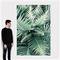 Picture of Green Ferns _GroupedProduct_Rectangle_Portrait_Photography _GroupedProduct_Rectangle_Portrait_Canvas_