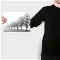 Picture of Lined Up Trees _GroupedProduct_Rectangle_Landscape_Photography _GroupedProduct_Rectangle_Landscape_Canvas_