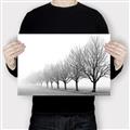 Picture of Lined Up Trees _GroupedProduct_Rectangle_Landscape_Photography _GroupedProduct_Rectangle_Landscape_Canvas_