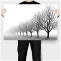 Picture of Lined Up Trees _GroupedProduct_Rectangle_Landscape_Photography _GroupedProduct_Rectangle_Landscape_Canvas_