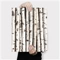 Picture of Birch Logs _GroupedProduct_Rectangle_Portrait_Photography _GroupedProduct_Rectangle_Portrait_Canvas_