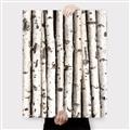 Picture of Birch Logs _GroupedProduct_Rectangle_Portrait_Photography _GroupedProduct_Rectangle_Portrait_Canvas_