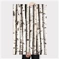 Picture of Birch Logs _GroupedProduct_Rectangle_Portrait_Photography _GroupedProduct_Rectangle_Portrait_Canvas_